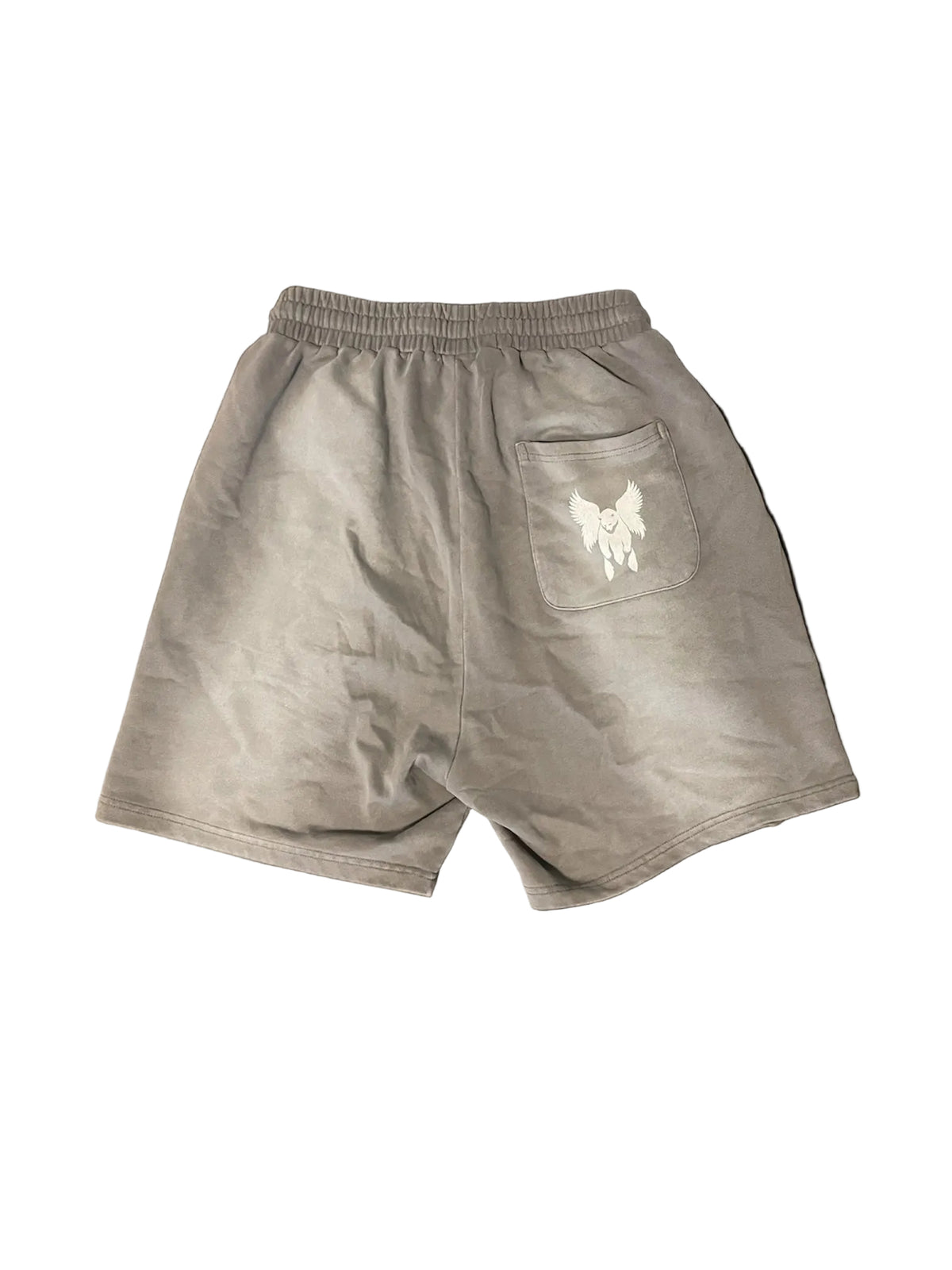Sun Fade Distressed Shorts