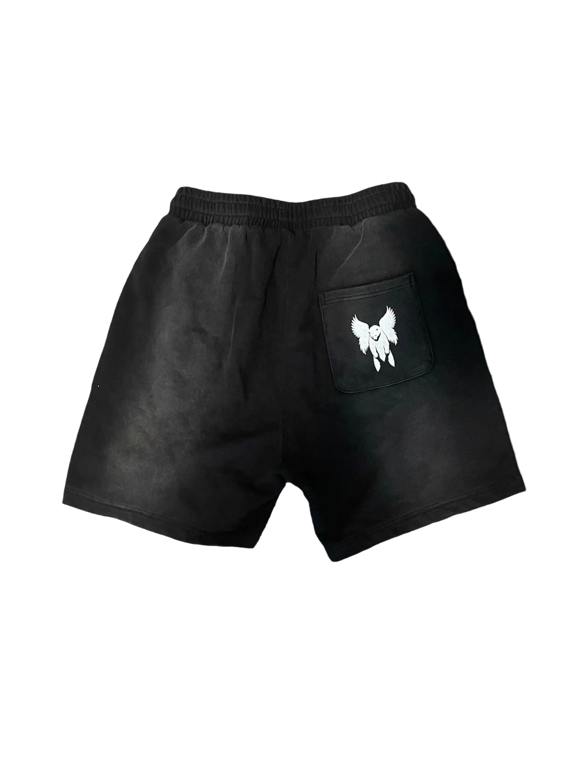 Sun Fade Distressed Shorts