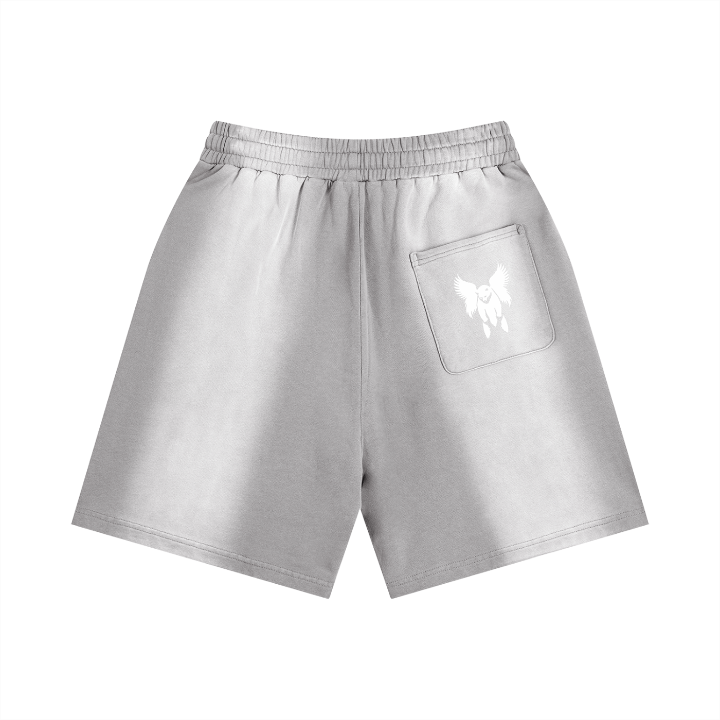 Sun Fade Distressed Shorts