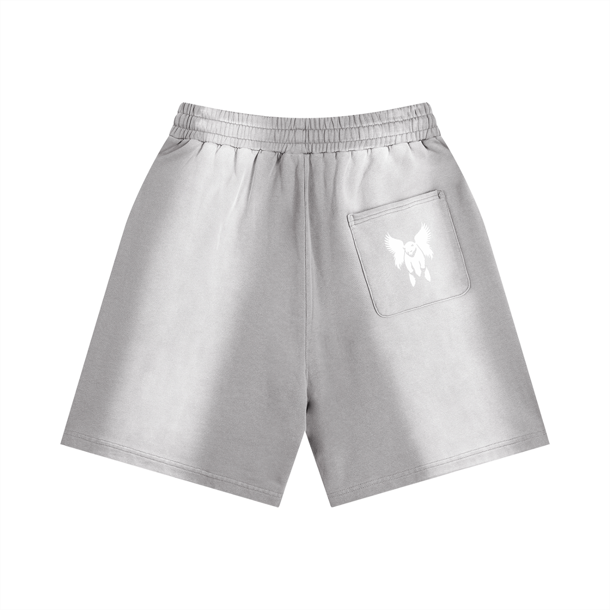 Sun Fade Distressed Shorts